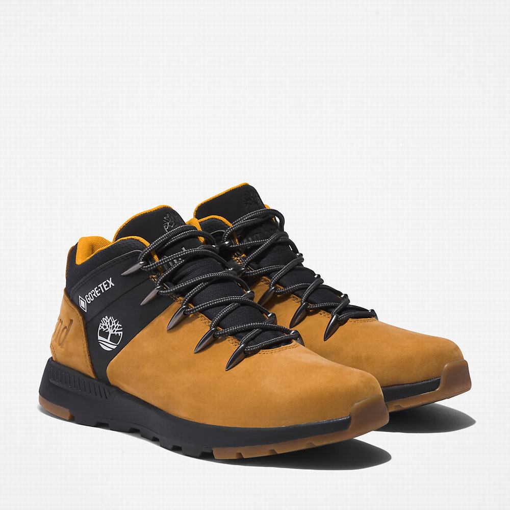 Cizmy Timberland Sprint Trekker Gore-Tex® Chukka Panske Svetlo Hnede | LQ1589067