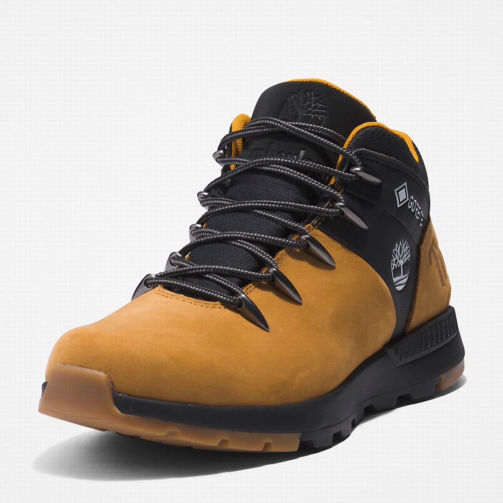 Cizmy Timberland Sprint Trekker Gore-Tex® Chukka Panske Svetlo Hnede | LQ1589067