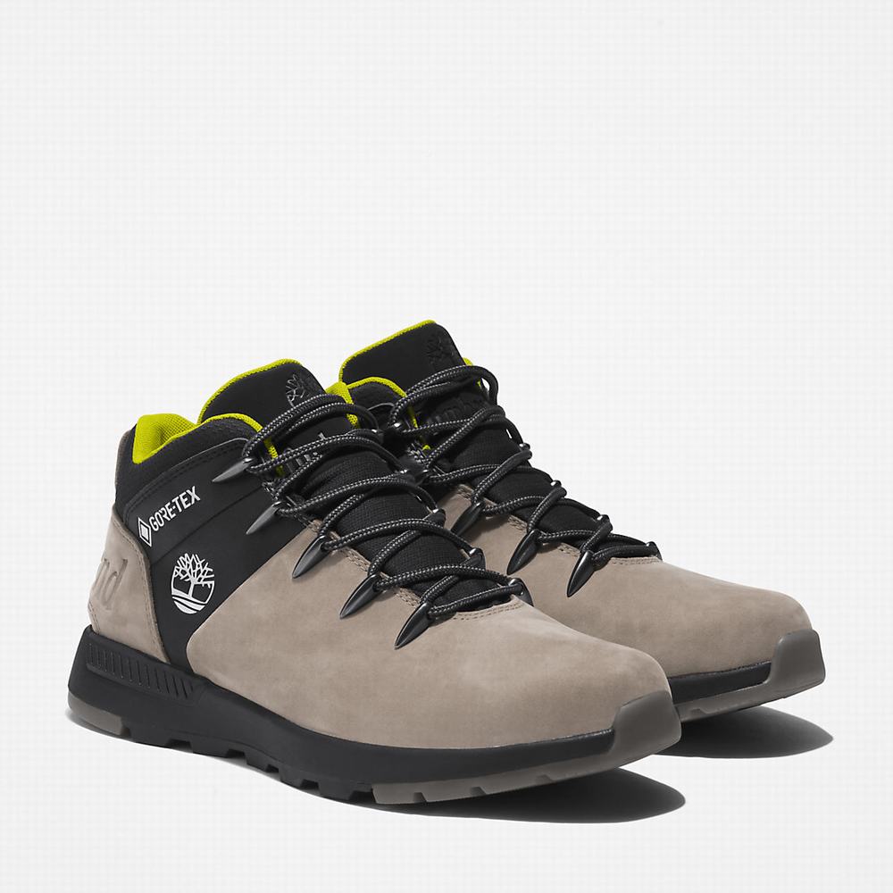 Cizmy Timberland Sprint Trekker Gore-Tex® Chukka Panske Béžové | XP8653271