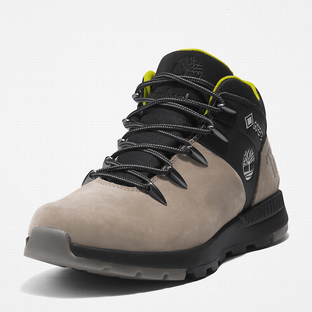 Cizmy Timberland Sprint Trekker Gore-Tex® Chukka Panske Béžové | XP8653271