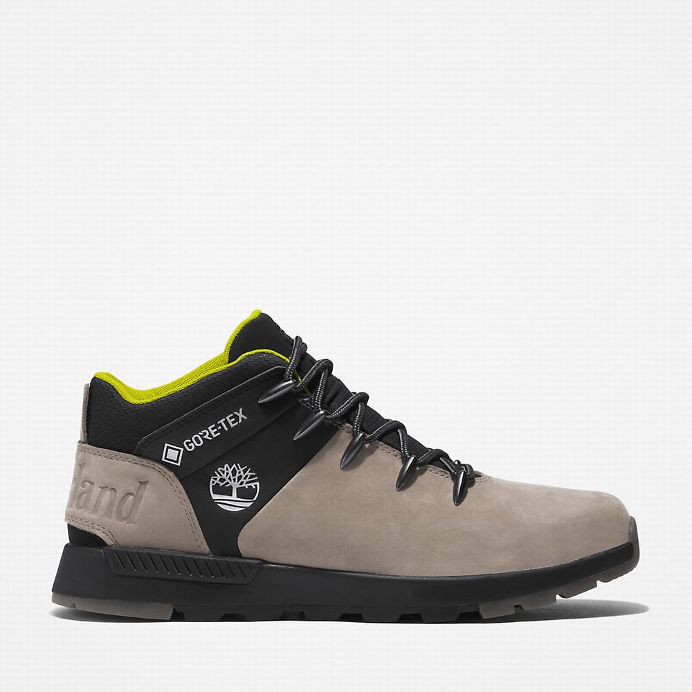 Cizmy Timberland Sprint Trekker Gore-Tex® Chukka Panske Béžové | XP8653271