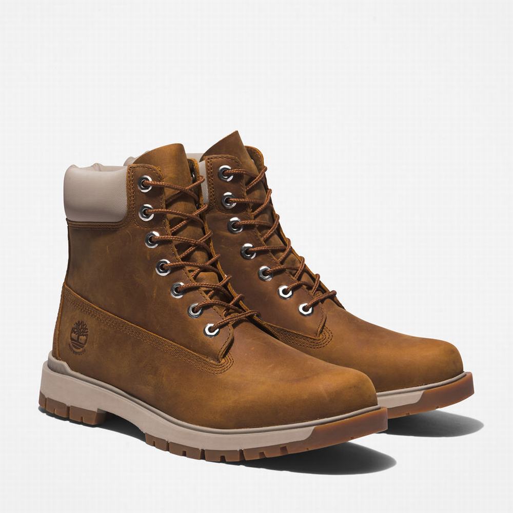 Cizmy Timberland Tree Vault 6 Inch Panske Hnede | DR1537982