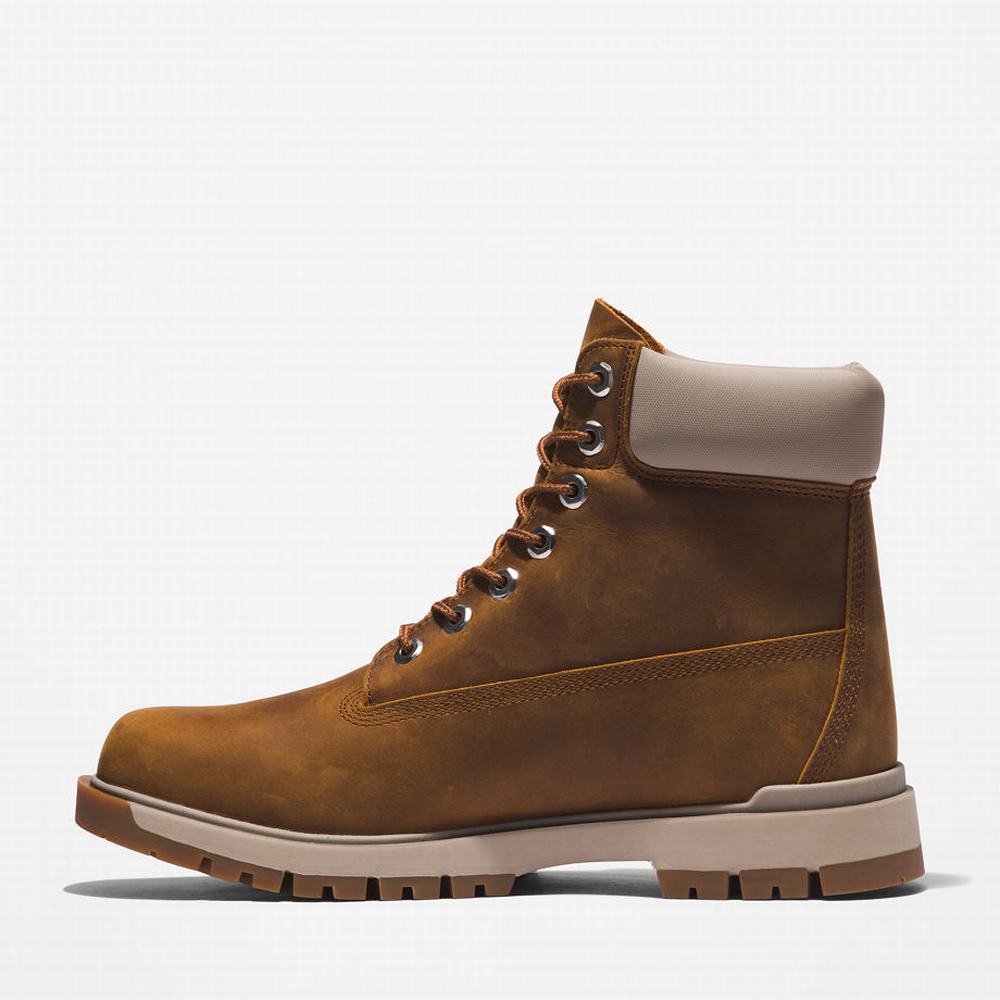 Cizmy Timberland Tree Vault 6 Inch Panske Hnede | DR1537982