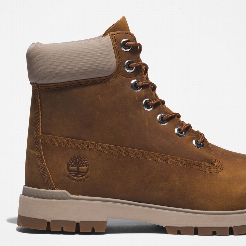 Cizmy Timberland Tree Vault 6 Inch Panske Hnede | DR1537982