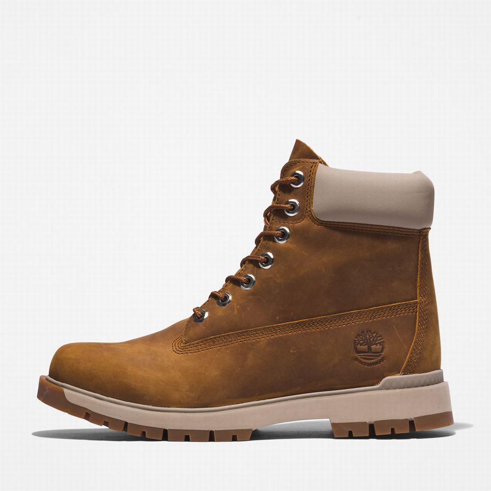 Cizmy Timberland Tree Vault 6 Inch Panske Hnede | DR1537982