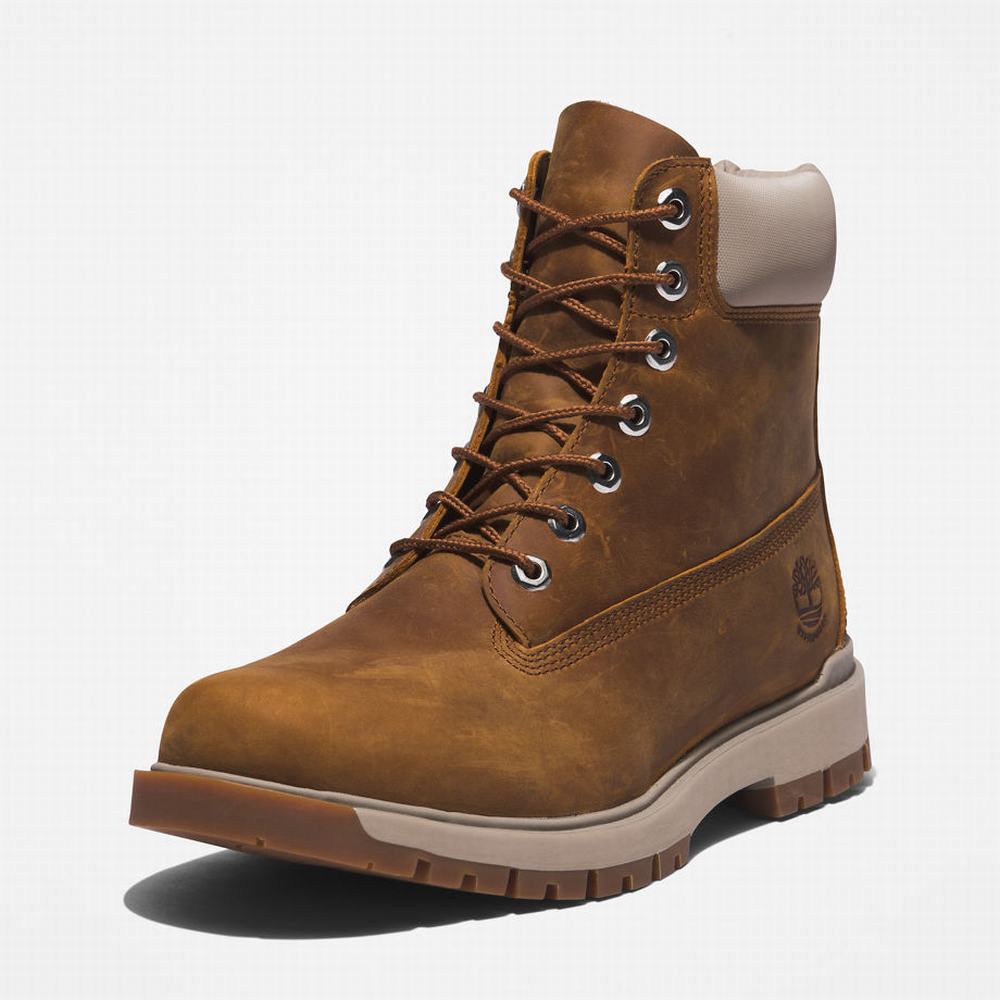 Cizmy Timberland Tree Vault 6 Inch Panske Hnede | DR1537982