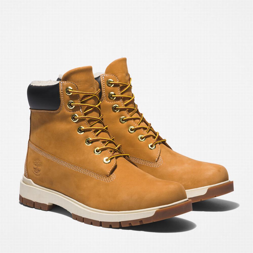 Cizmy Timberland Tree Vault 6 Inch Panske Žlté | EX7954831