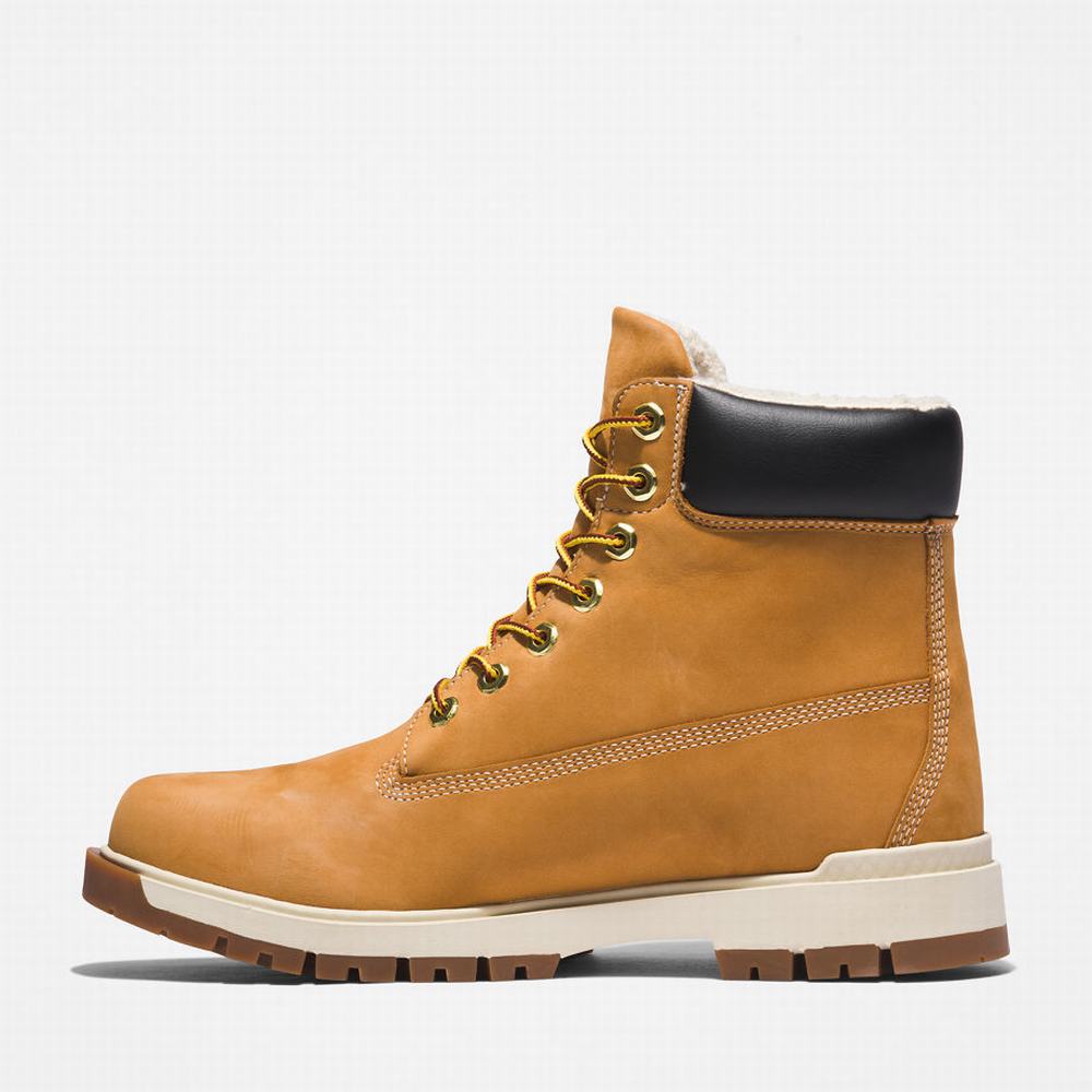 Cizmy Timberland Tree Vault 6 Inch Panske Žlté | EX7954831