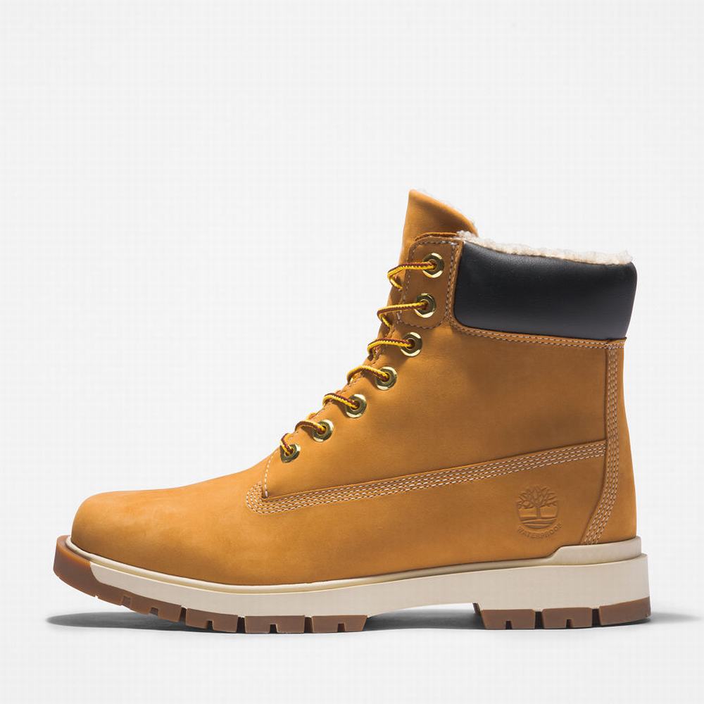 Cizmy Timberland Tree Vault 6 Inch Panske Žlté | EX7954831