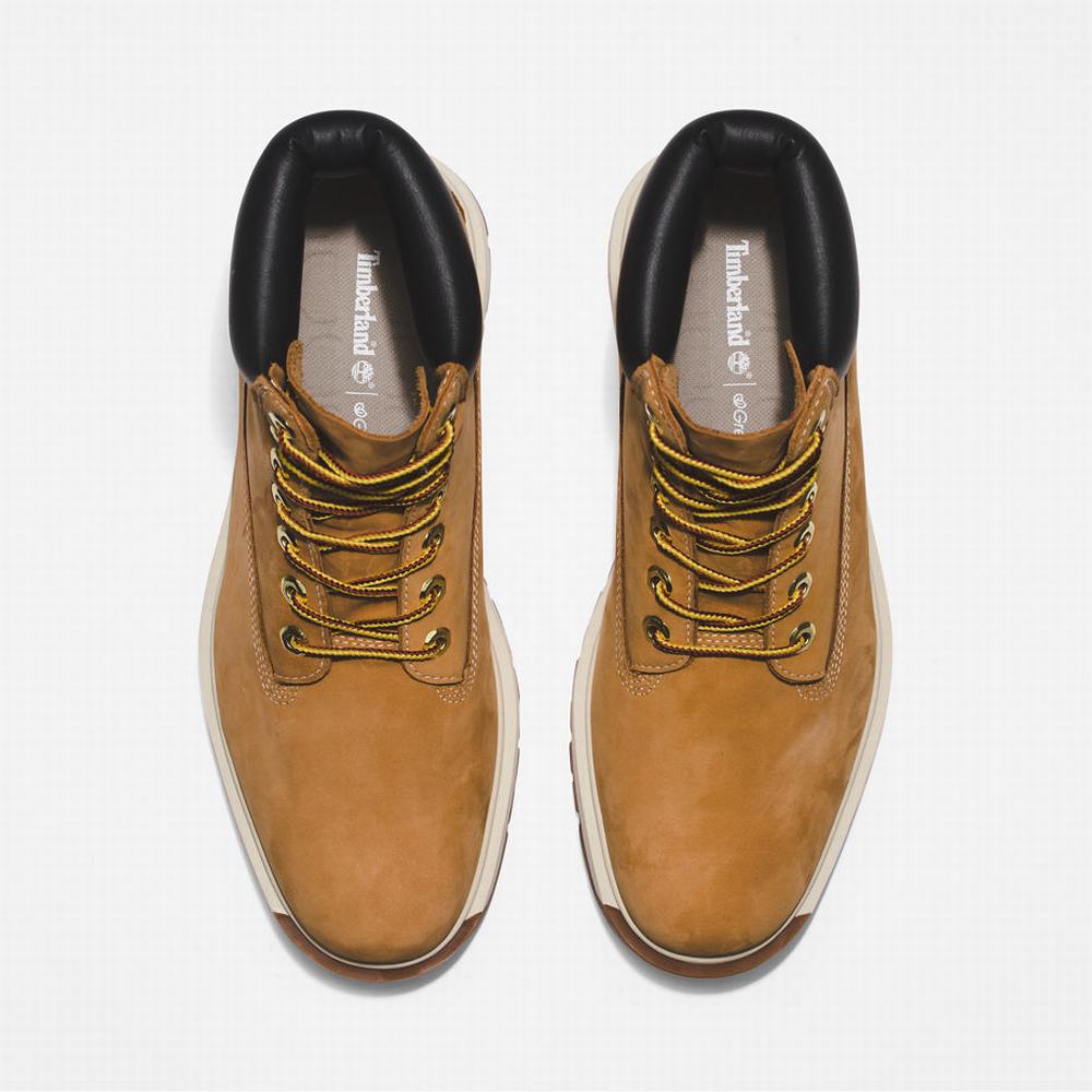 Cizmy Timberland Tree Vault 6 Inch Panske Žlté | QE8970143