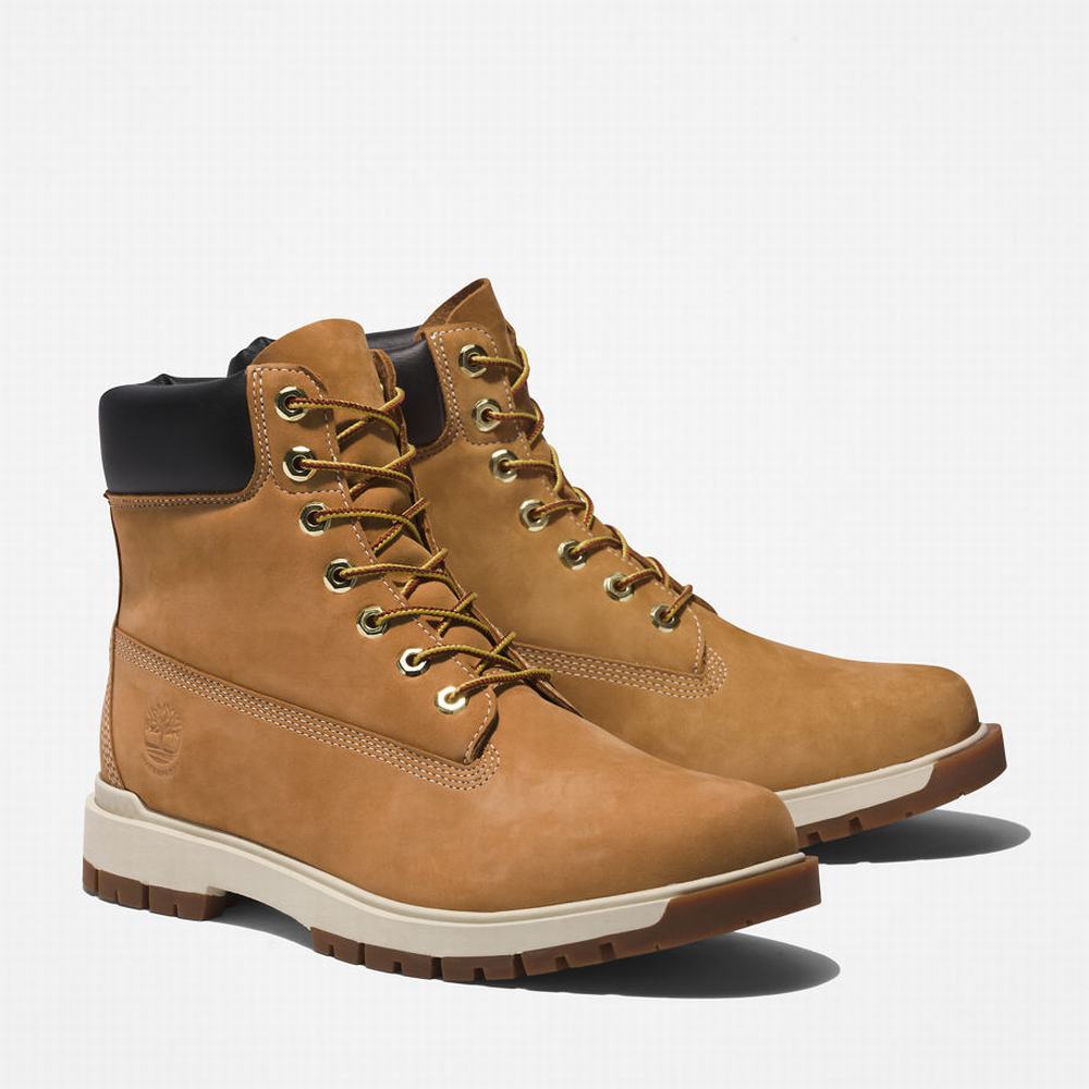 Cizmy Timberland Tree Vault 6 Inch Panske Žlté | QE8970143