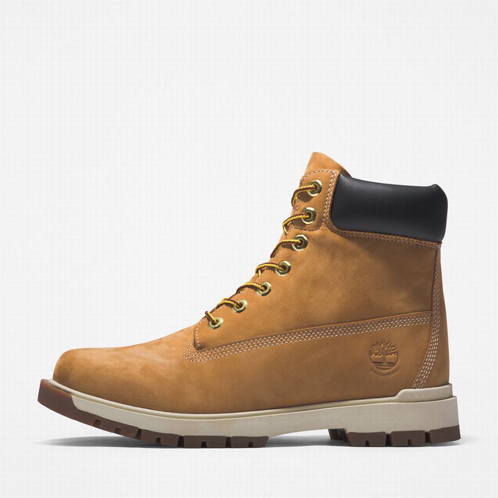 Cizmy Timberland Tree Vault 6 Inch Panske Žlté | QE8970143