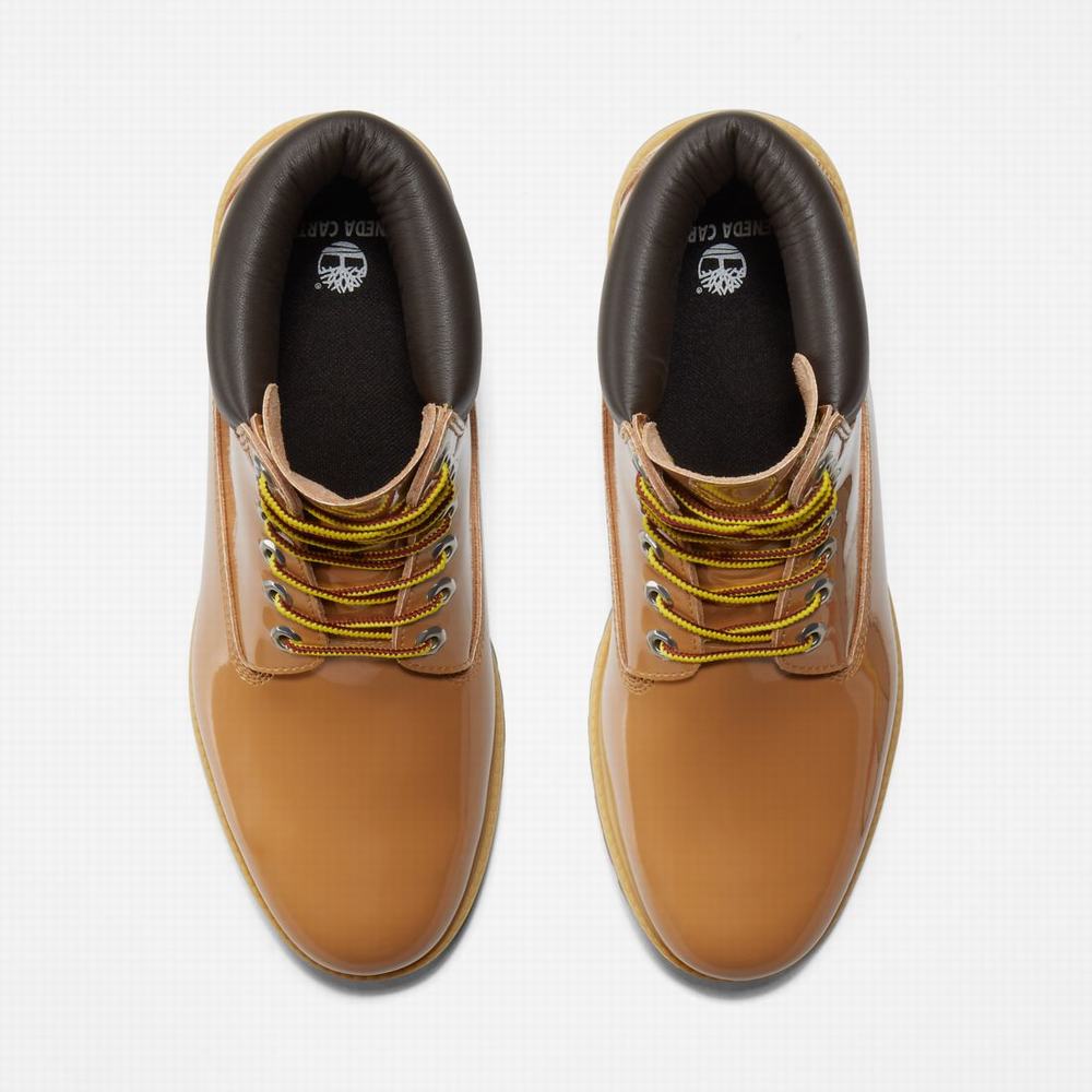 Cizmy Timberland Veneda Carter x Timberland® 6-Inch Lakovane Leather Damske Hnede | PJ8214395