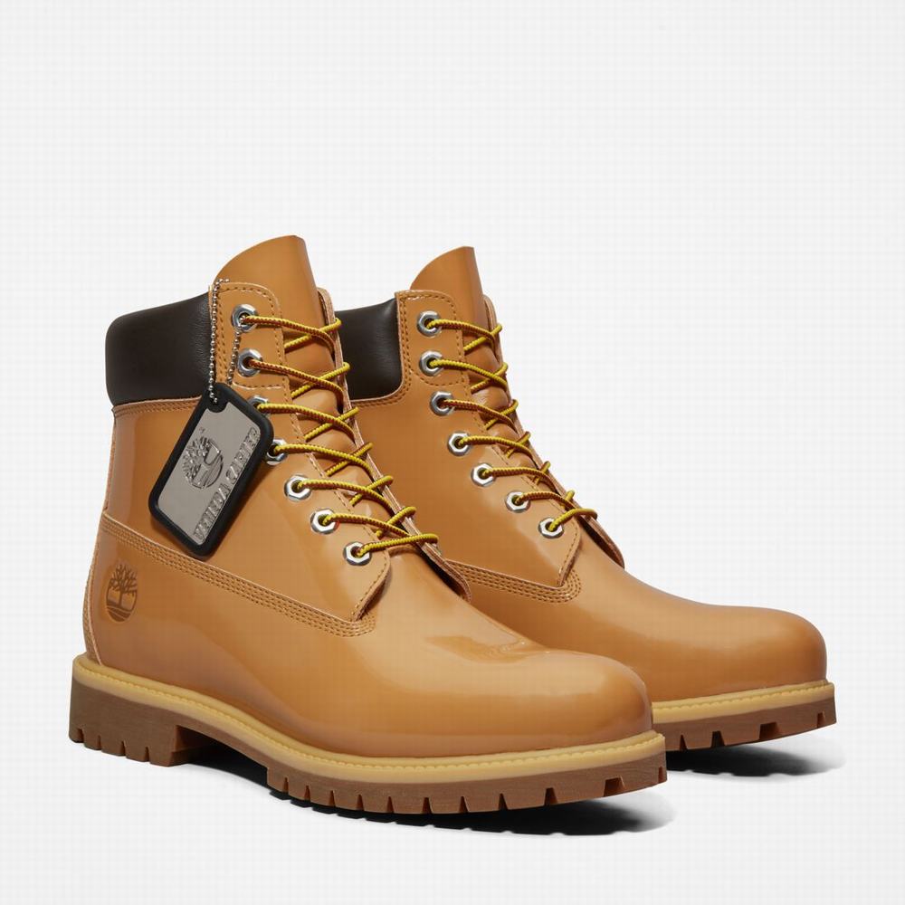 Cizmy Timberland Veneda Carter x Timberland® 6-Inch Lakovane Leather Damske Hnede | PJ8214395