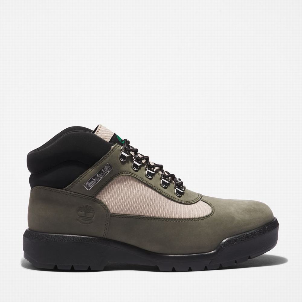 Cizmy Timberland Waterproof Field Panske Tmavo Zelene | PI2689075