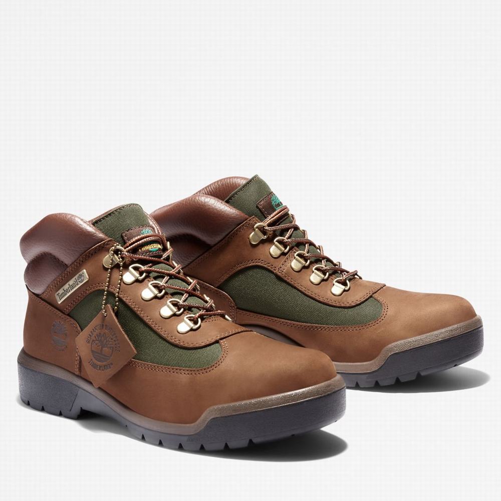 Cizmy Timberland Waterproof Field Panske Tmavo Hnede | QU4971862