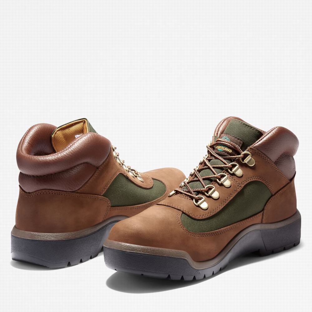 Cizmy Timberland Waterproof Field Panske Tmavo Hnede | QU4971862