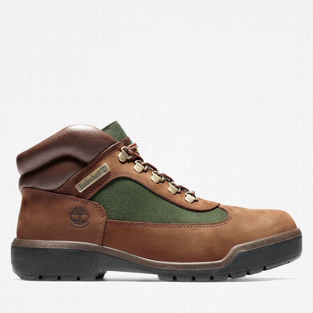 Cizmy Timberland Waterproof Field Panske Tmavo Hnede | QU4971862