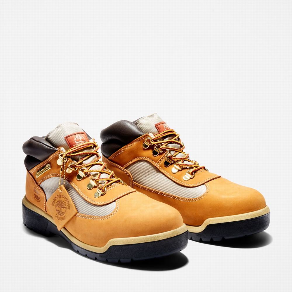 Cizmy Timberland Waterproof Field Panske Hnede | WJ8039716