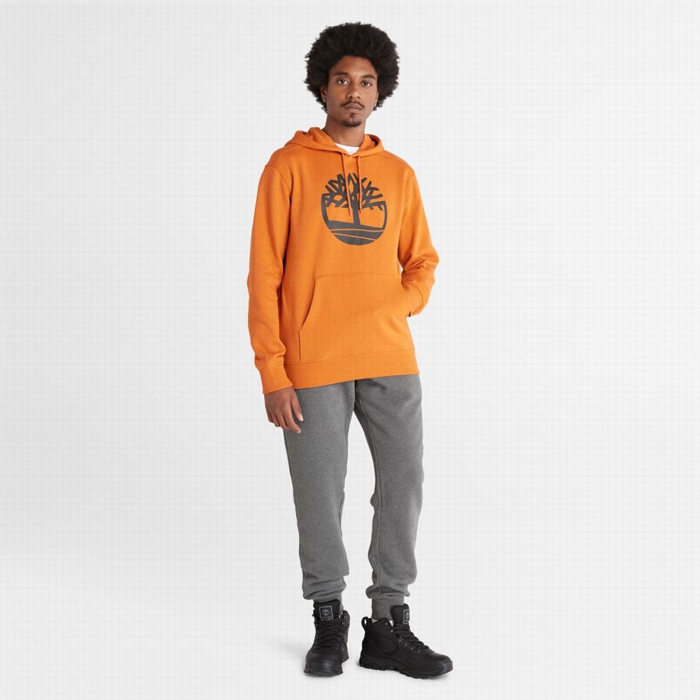 Mikiny S Kapucňou Timberland Tree-Logo Panske Oranžové | LH7452168