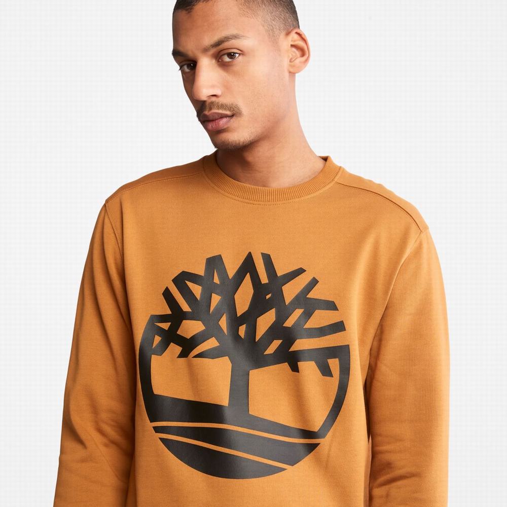 Mikiny Timberland Tree Logo Crewneck Panske Hnede Čierne | CR6790513