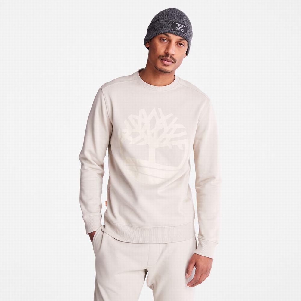 Mikiny Timberland Tree Logo Crewneck Panske Taupe | WU6437158