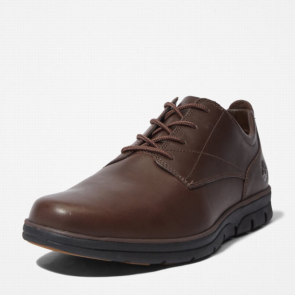 Oxford Topanky Timberland Bradstreet Plain Spicou Panske Hnede | WP6742095