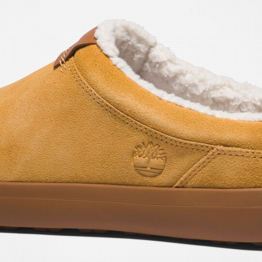 Papuce Timberland Ashwood Park Leather Panske Hnede | NC8745901