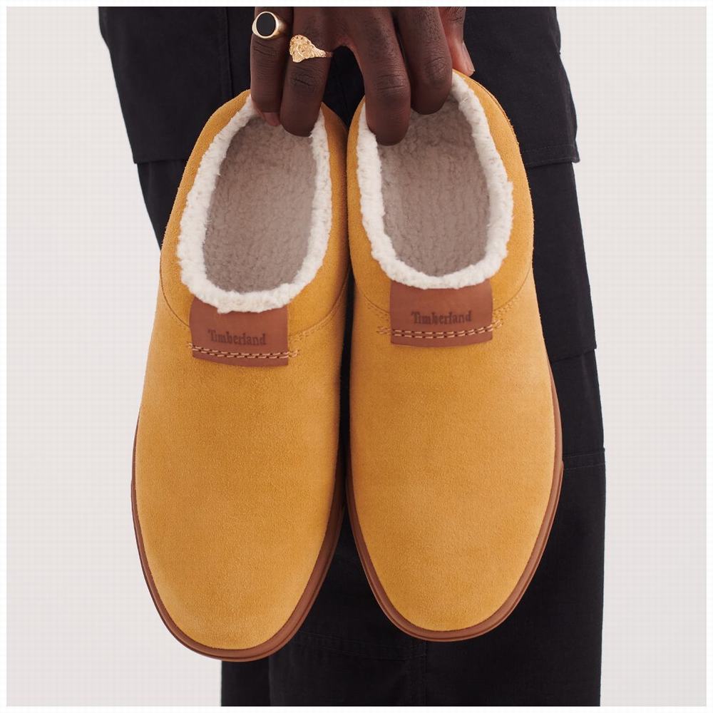 Papuce Timberland Ashwood Park Leather Panske Hnede | NC8745901