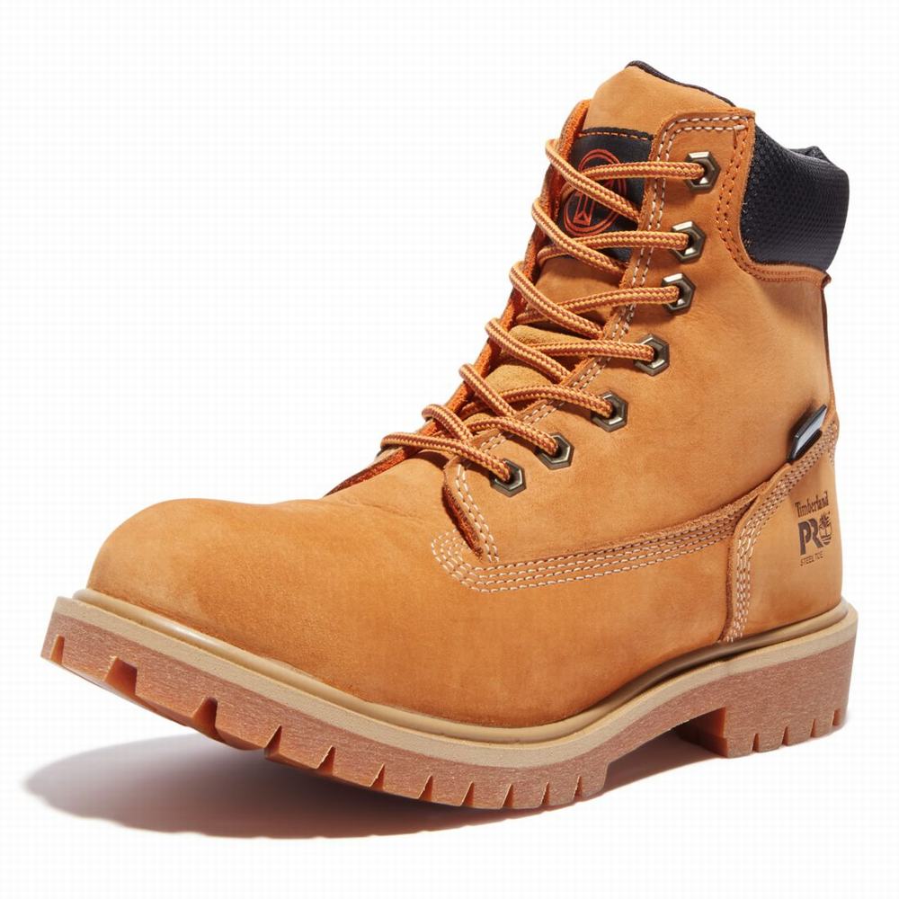 Pracovne Cizmy Timberland Generation T Steel Spicou Waterproof Damske Hnede | FL0982536