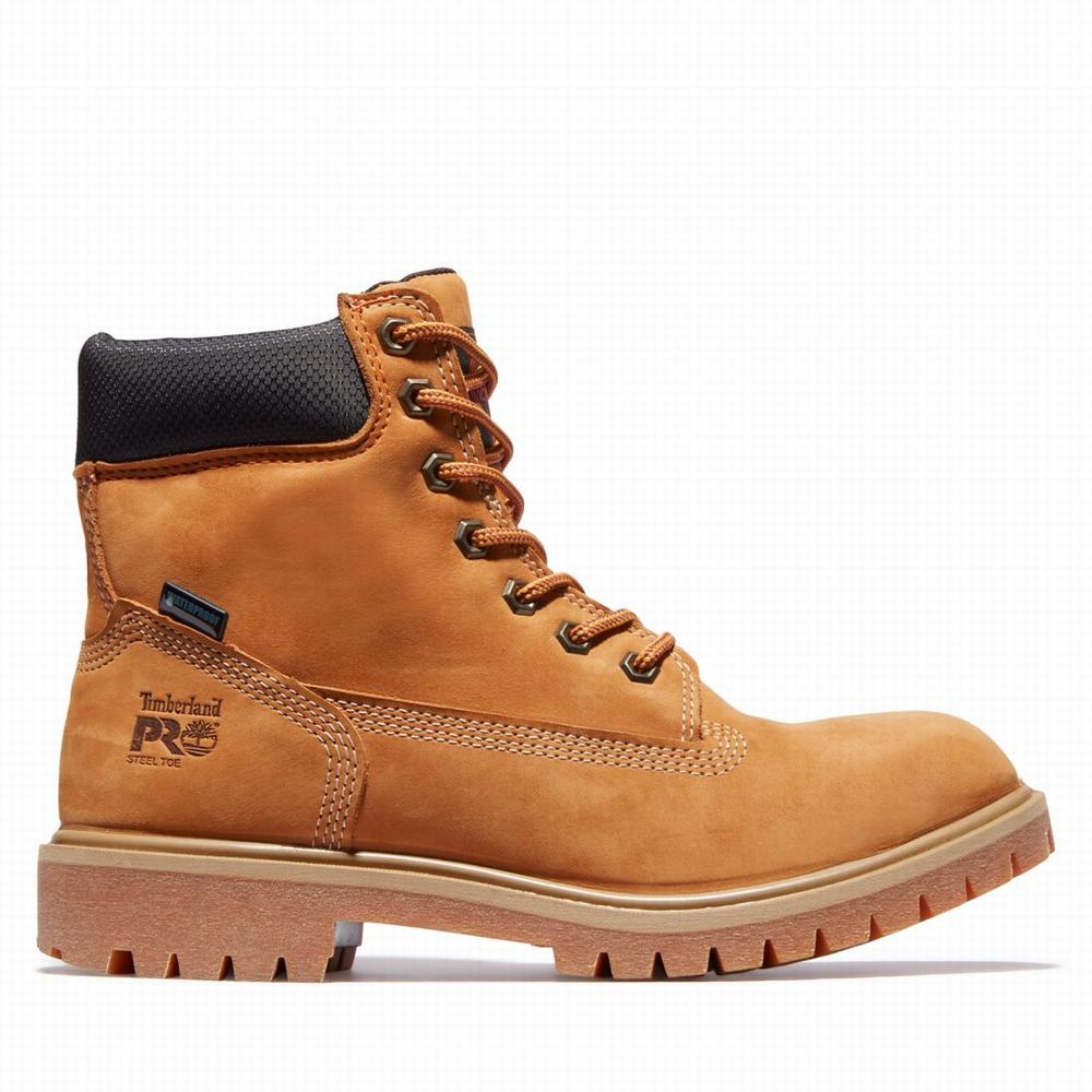 Pracovne Cizmy Timberland Generation T Steel Spicou Waterproof Damske Hnede | FL0982536