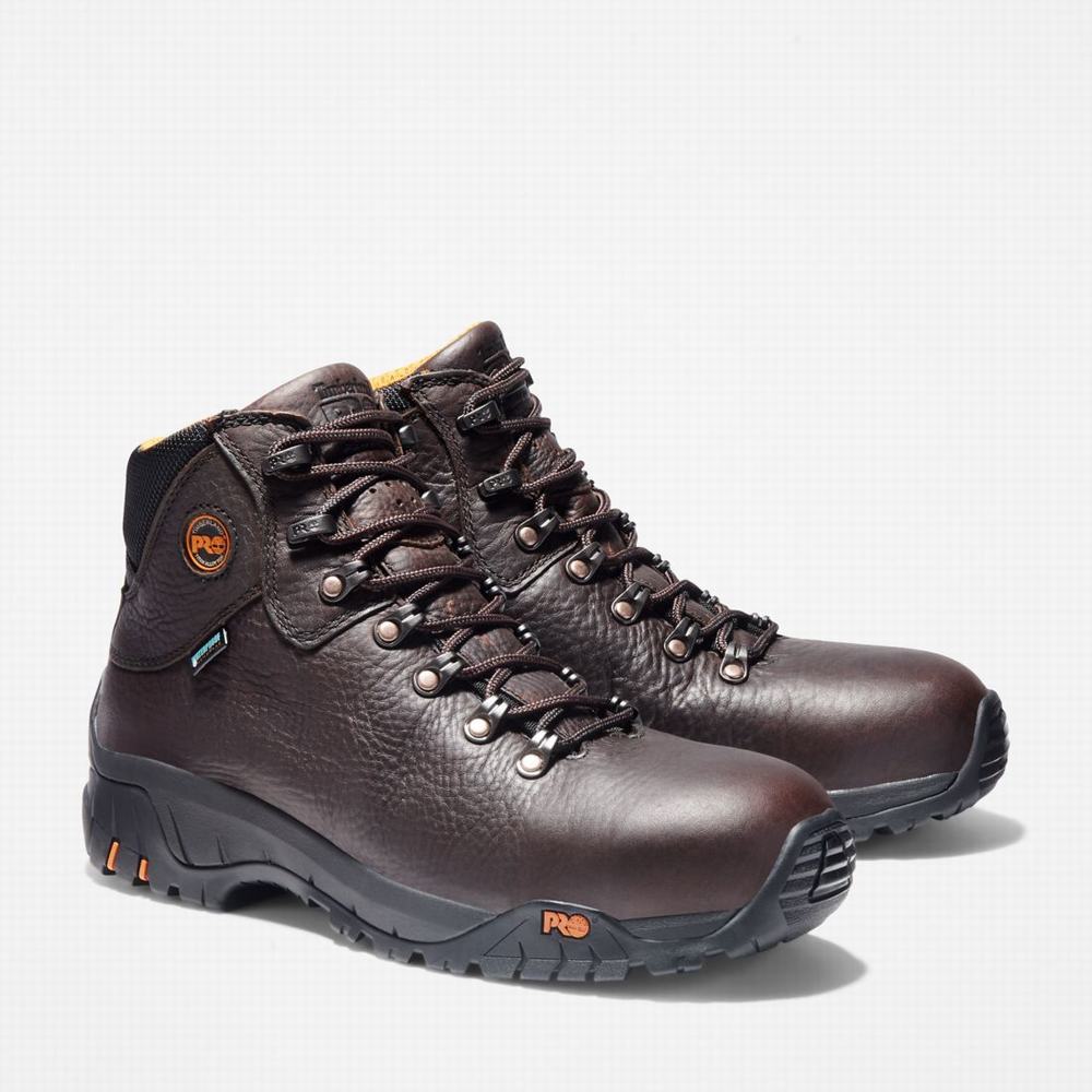 Pracovne Cizmy Timberland TiTAN Alloy Spicou Waterproof Panske Tmavo Hnede | VK7609415