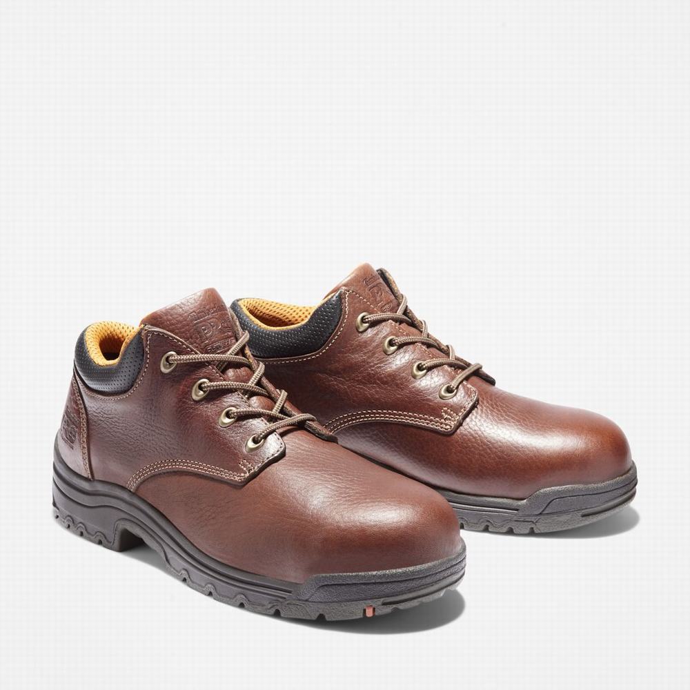 Pracovne Topanky Timberland TiTAN Bežná Alloy Spicou Panske Hnede | HI1758693