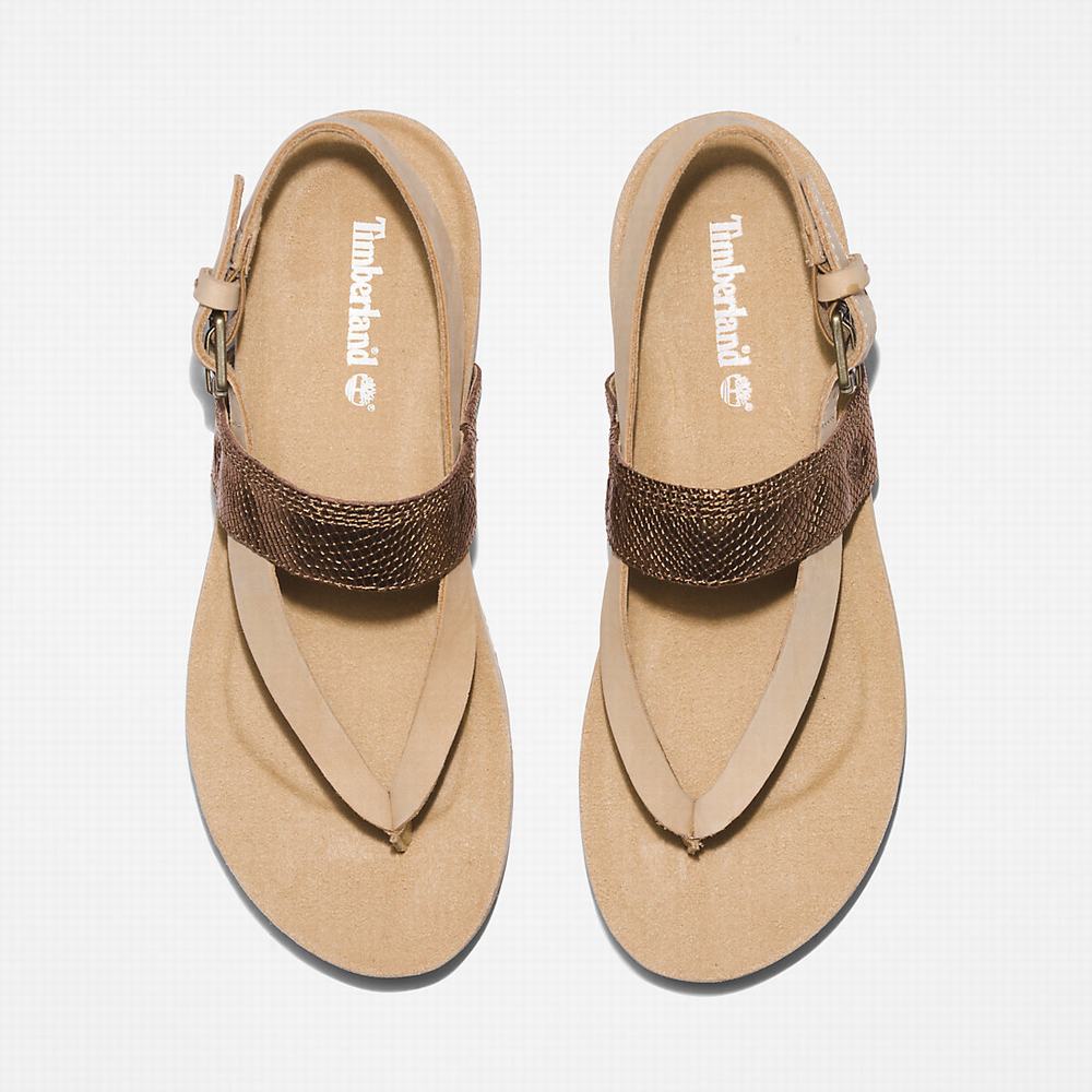 Sandále Timberland Malibu Beach Flip-Flop Damske Béžové | RY4602758