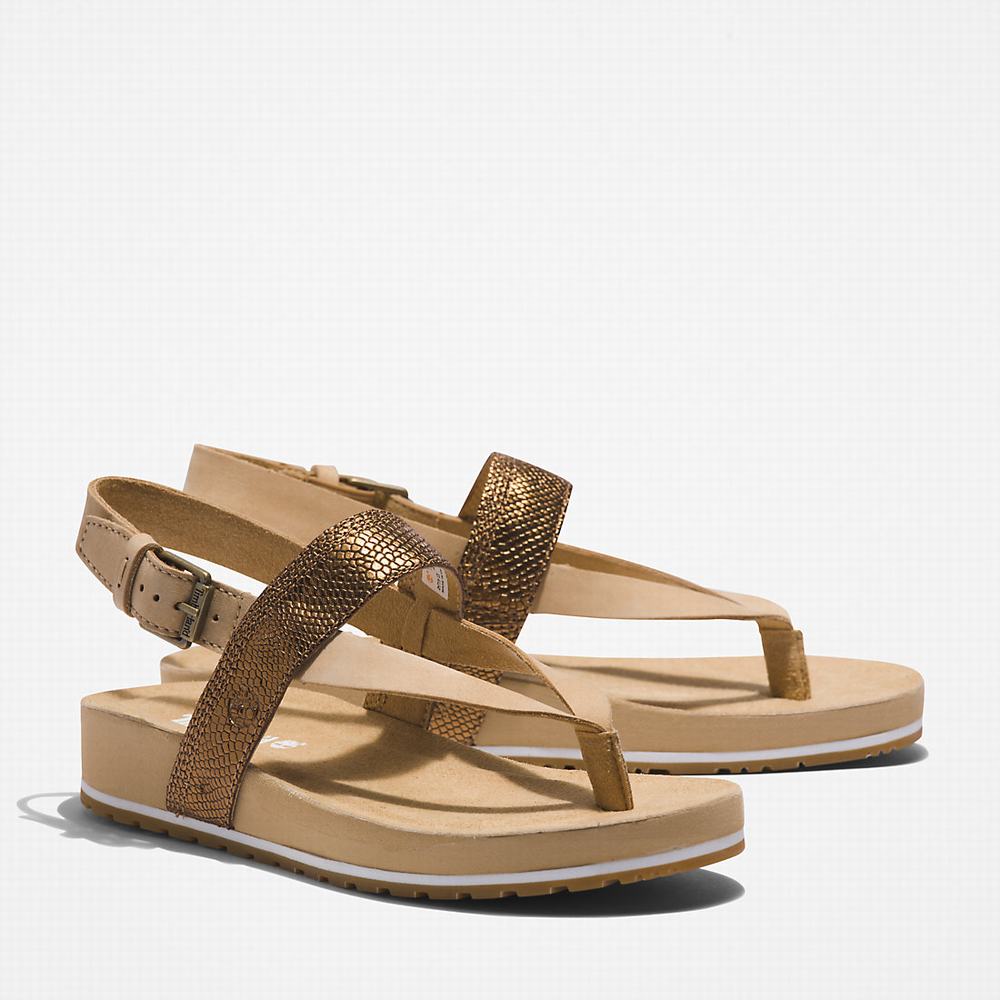 Sandále Timberland Malibu Beach Flip-Flop Damske Béžové | RY4602758