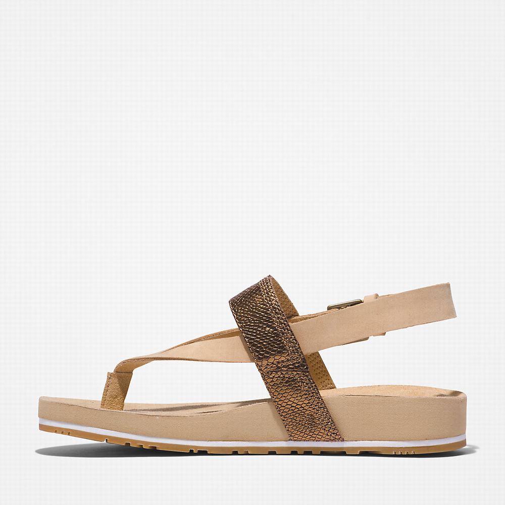 Sandále Timberland Malibu Beach Flip-Flop Damske Béžové | RY4602758