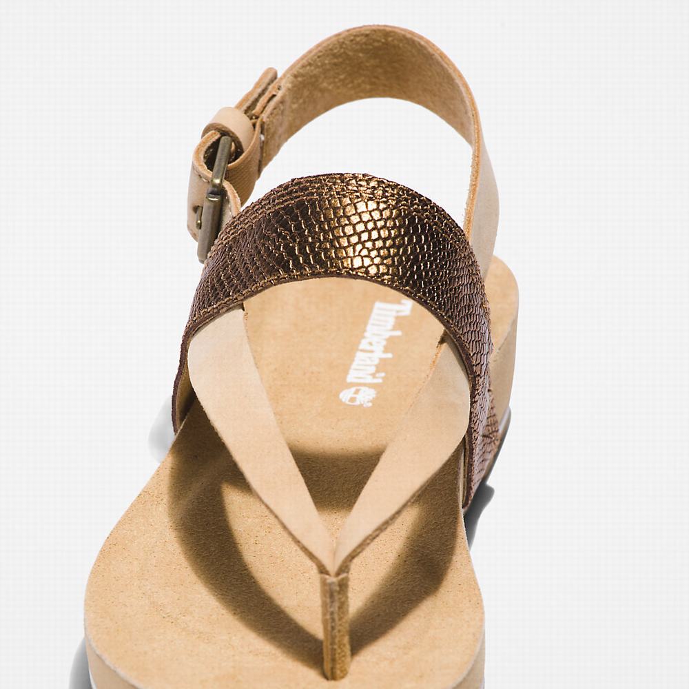 Sandále Timberland Malibu Beach Flip-Flop Damske Béžové | RY4602758