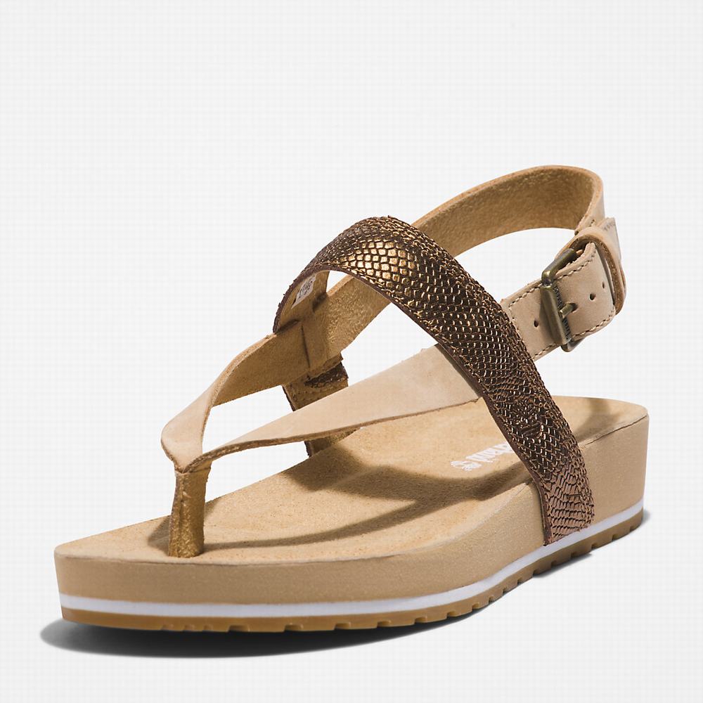 Sandále Timberland Malibu Beach Flip-Flop Damske Béžové | RY4602758