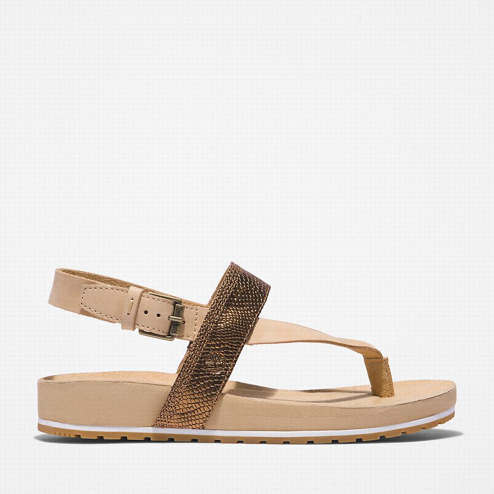 Sandále Timberland Malibu Beach Flip-Flop Damske Béžové | RY4602758