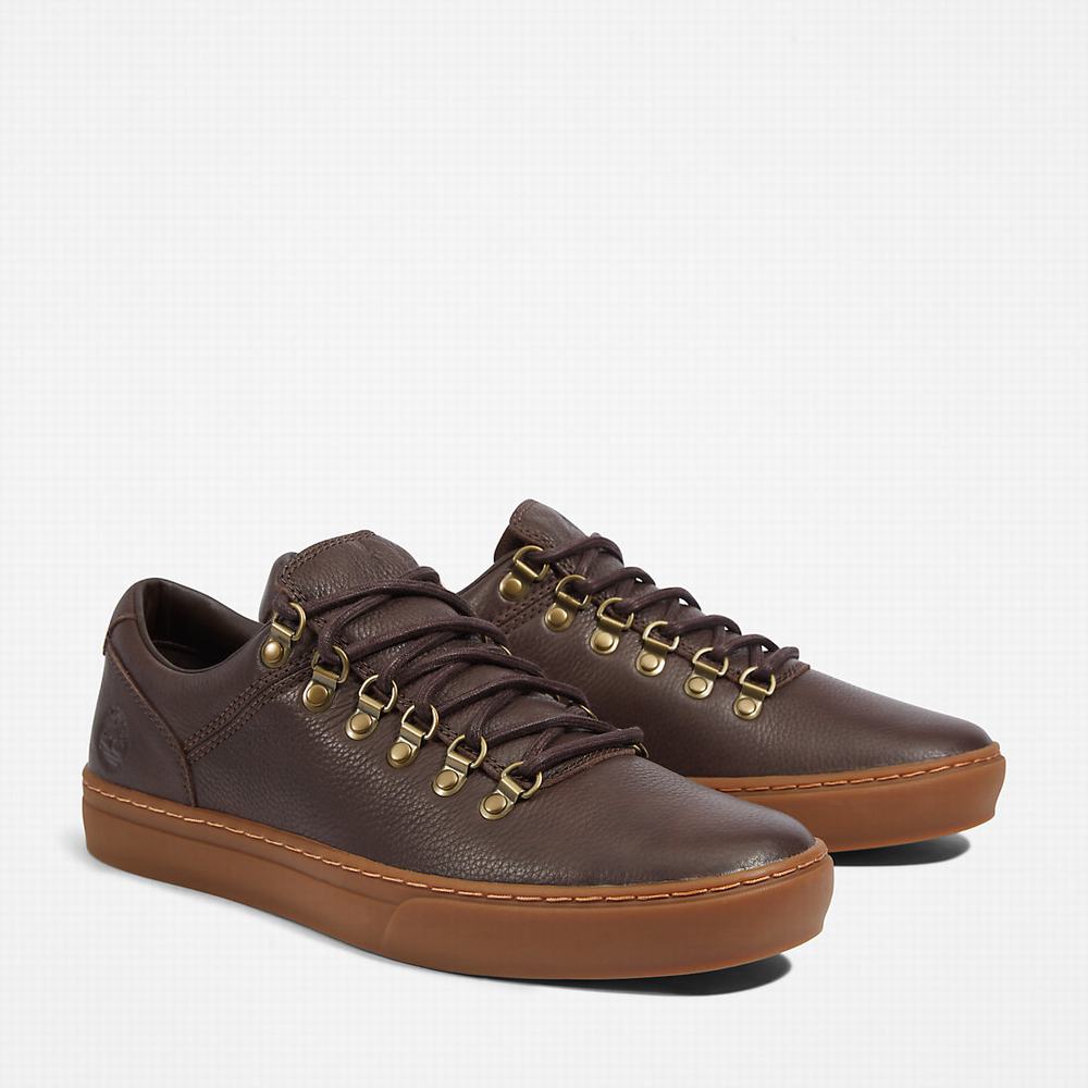 Tenisky Timberland Adventure 2.0 Cupsole Alpine Panske Tmavo Hnede | XE5410679