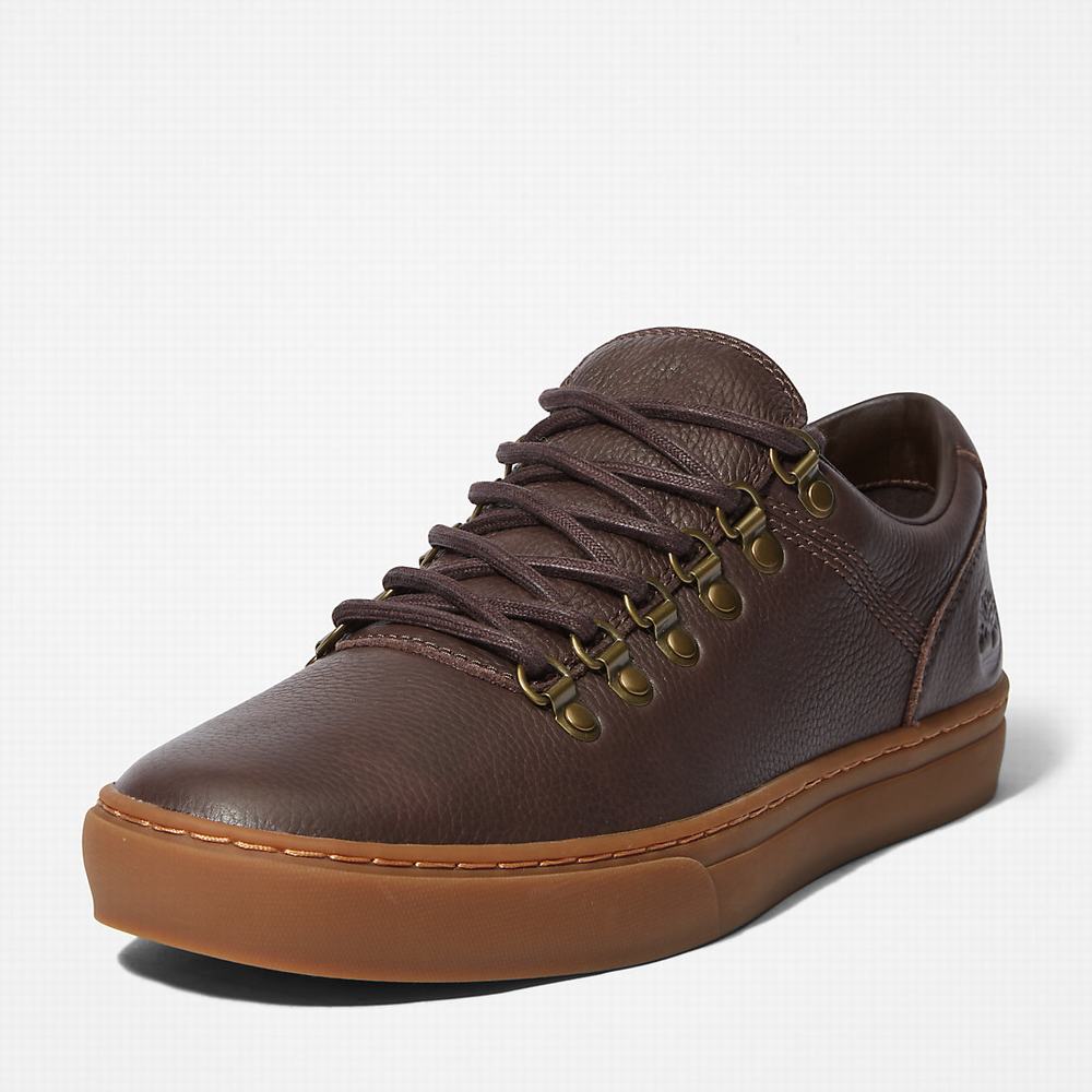 Tenisky Timberland Adventure 2.0 Cupsole Alpine Panske Tmavo Hnede | XE5410679