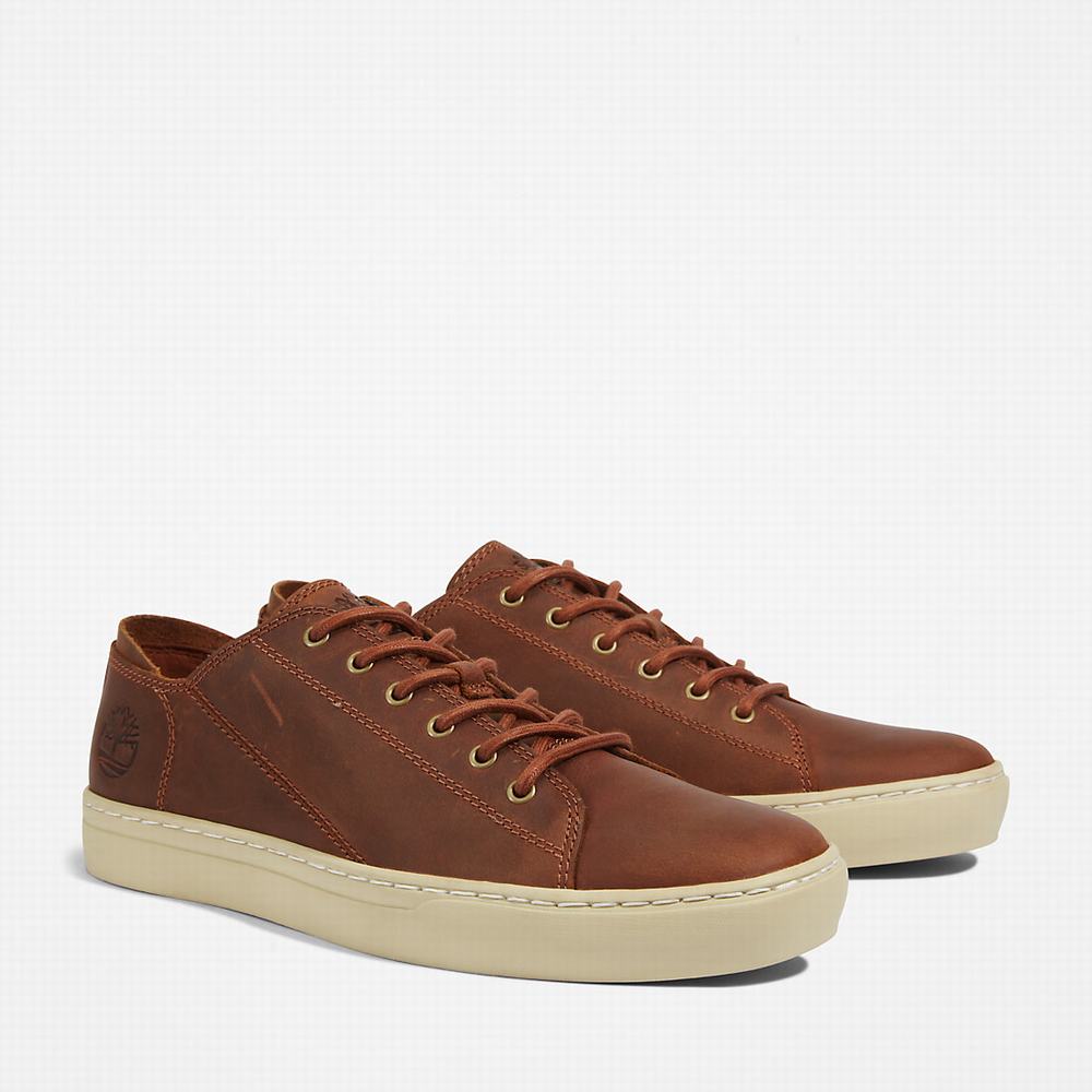 Tenisky Timberland Adventure 2.0 Panske Svetlo Hnede | FA3267905