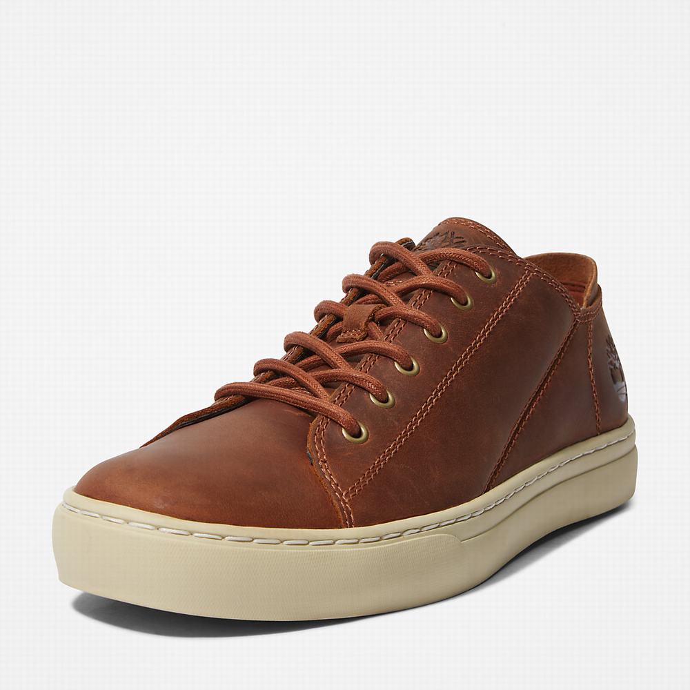 Tenisky Timberland Adventure 2.0 Panske Svetlo Hnede | FA3267905