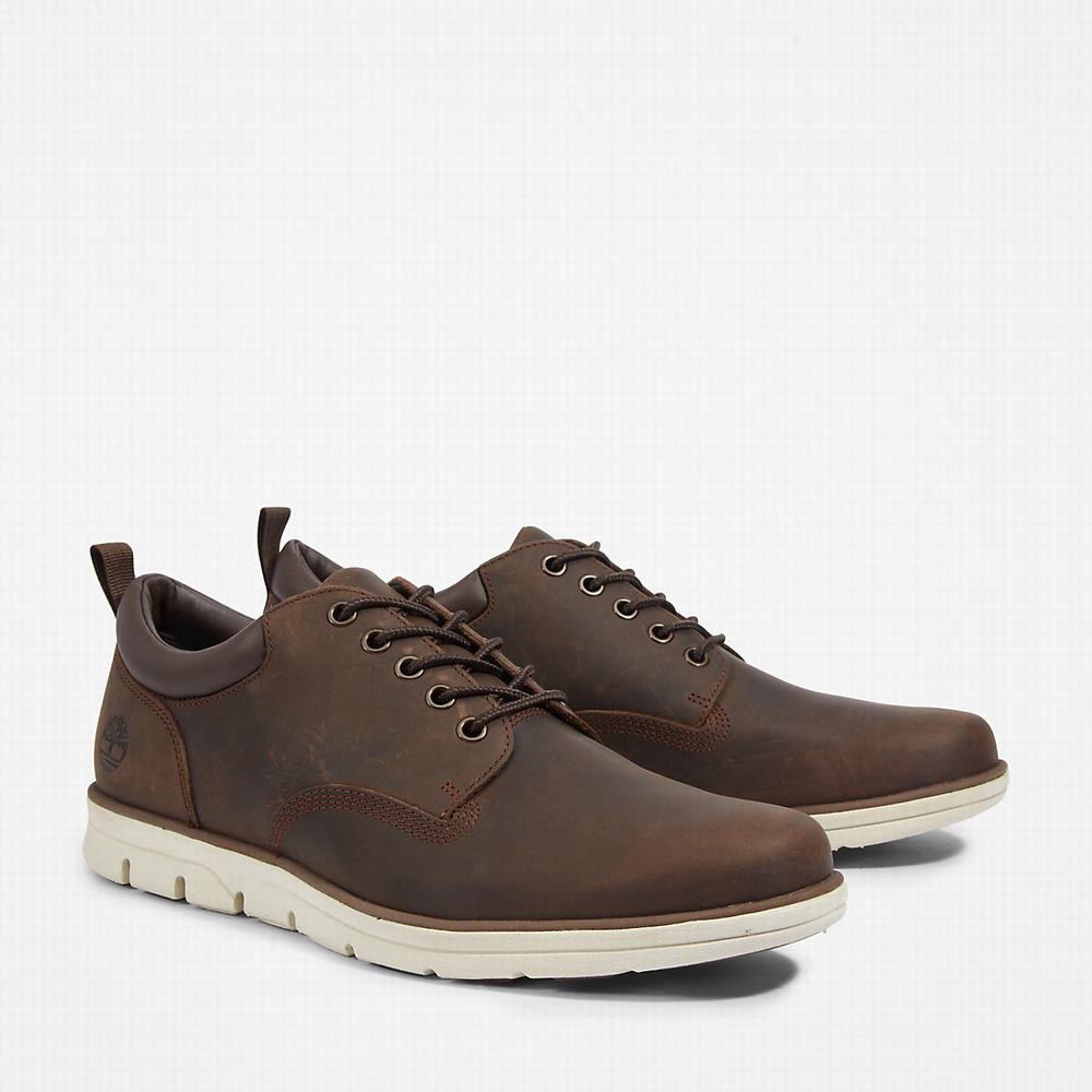 Tenisky Timberland Bradstreet Leather Oxford Panske Hnede | DP8739610