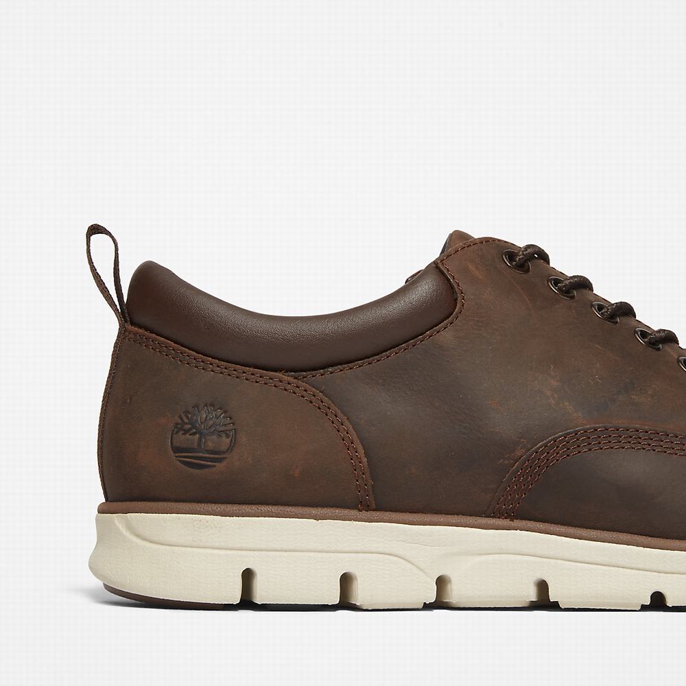 Tenisky Timberland Bradstreet Leather Oxford Panske Hnede | DP8739610