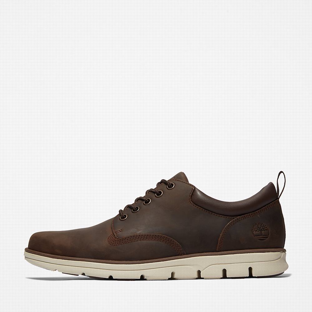 Tenisky Timberland Bradstreet Leather Oxford Panske Hnede | DP8739610