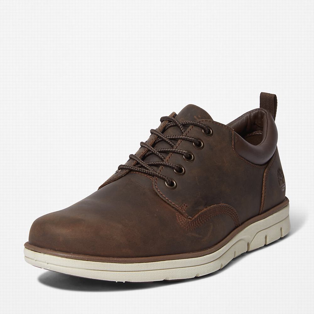 Tenisky Timberland Bradstreet Leather Oxford Panske Hnede | DP8739610