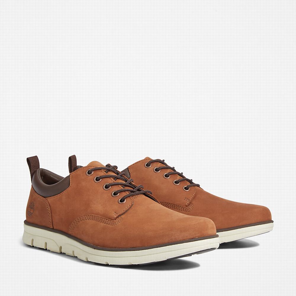 Tenisky Timberland Bradstreet Leather Oxford Panske Hnede | SF0935427