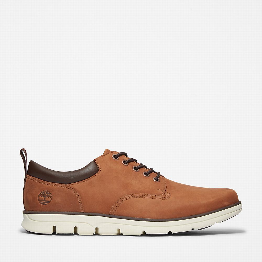 Tenisky Timberland Bradstreet Leather Oxford Panske Hnede | SF0935427