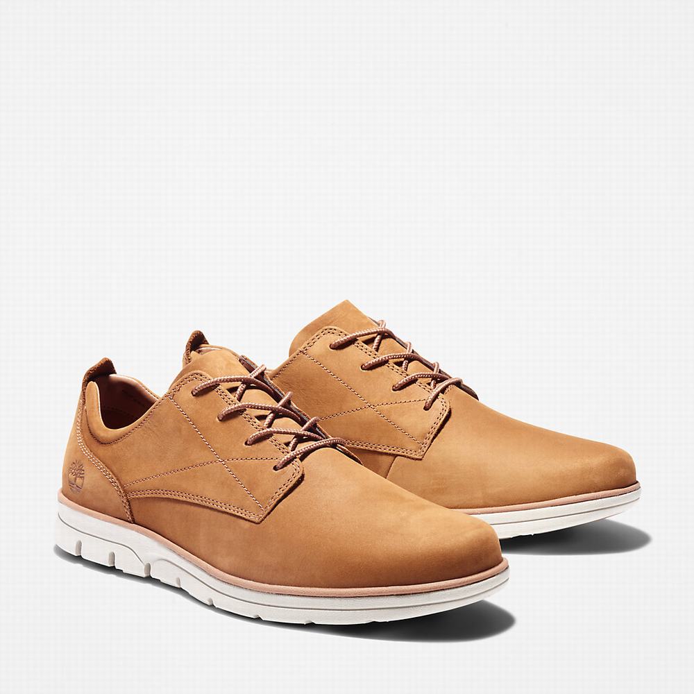 Tenisky Timberland Bradstreet Panske Hnede | EK7391045